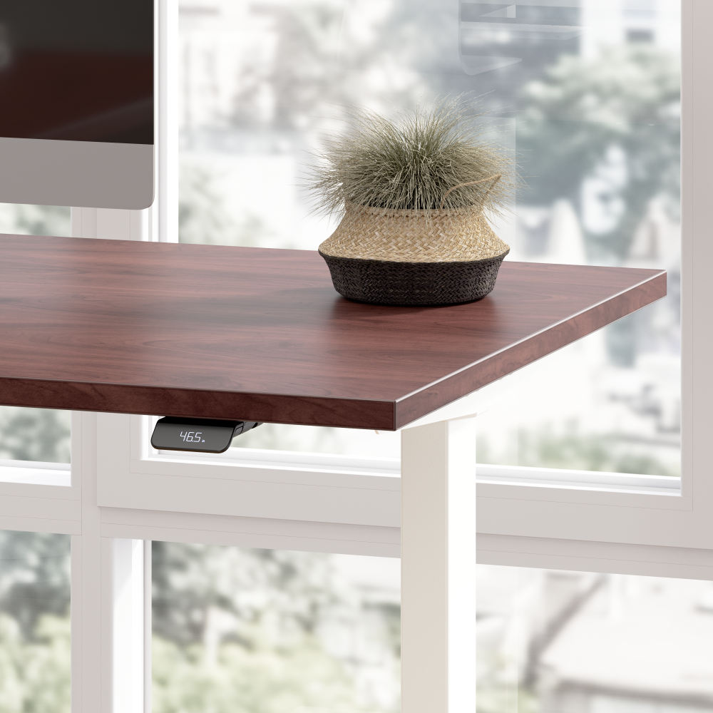 Move 60 Series 60W x 30D Electric Height Adjustable Standing Desk